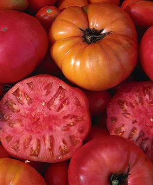 Mortgage Lifter Heirloom Tomato